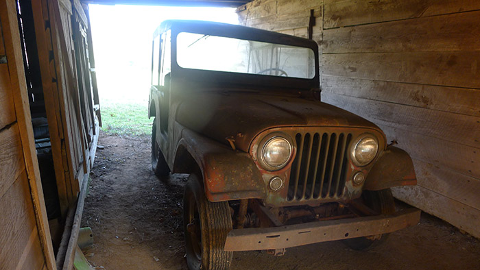 Willys Jeep on Backroad Gold
